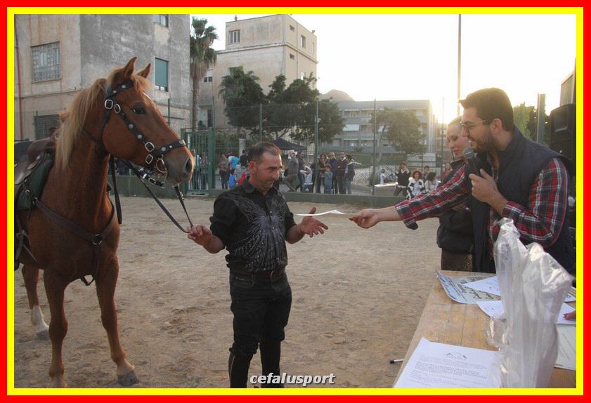 161106 equestre 079_tn.jpg